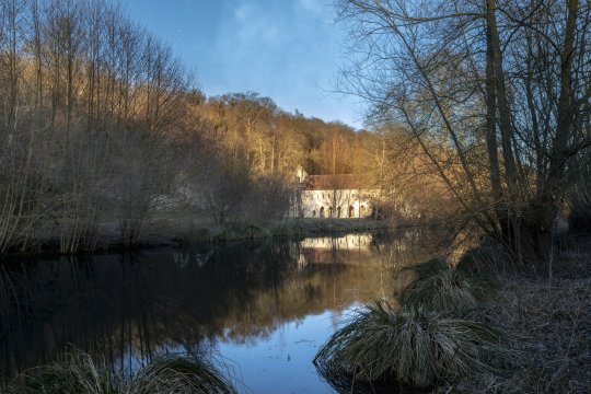 MG_8017