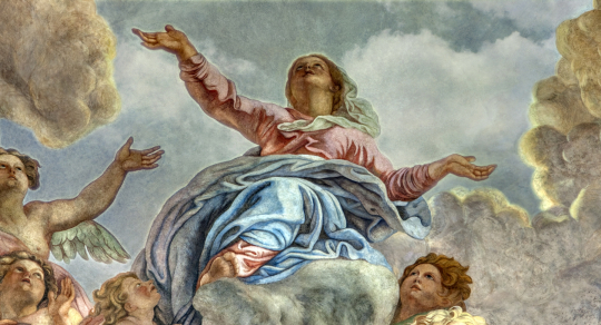 Montage-Final.00_08_25_13.Still013