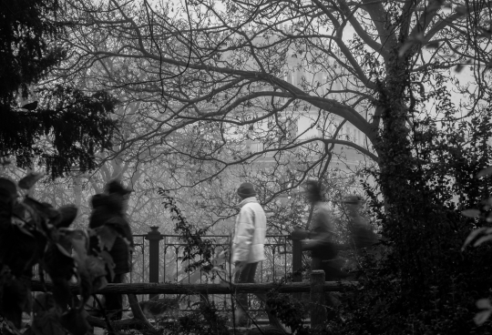 une-matinee-parisienne