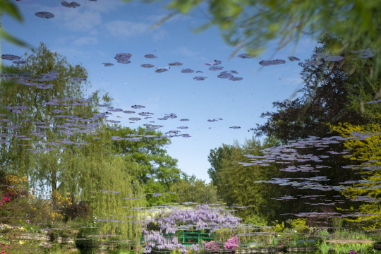 Reflet de l'étang du jardin de Claude Monet